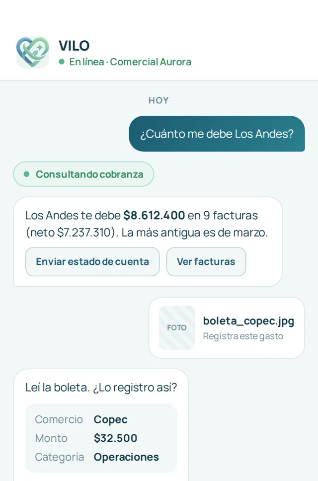 Chat with the VILO assistant